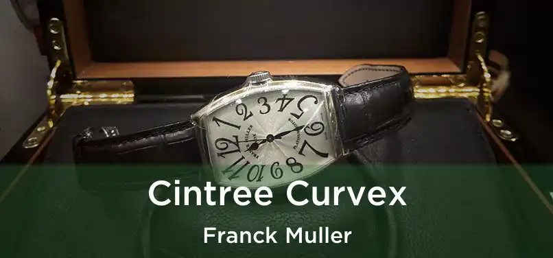  Cintree Curvex Franck Muller