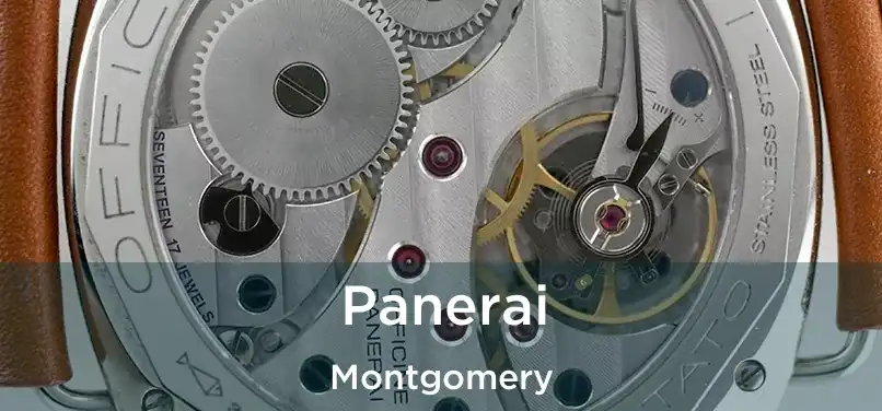  Panerai Montgomery