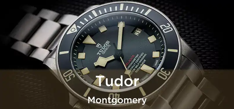  Tudor Montgomery