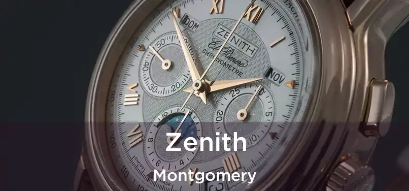  Zenith Montgomery